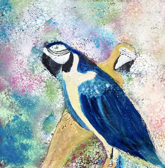 Jeko papegøje nr. 3. 60 x 60 cm